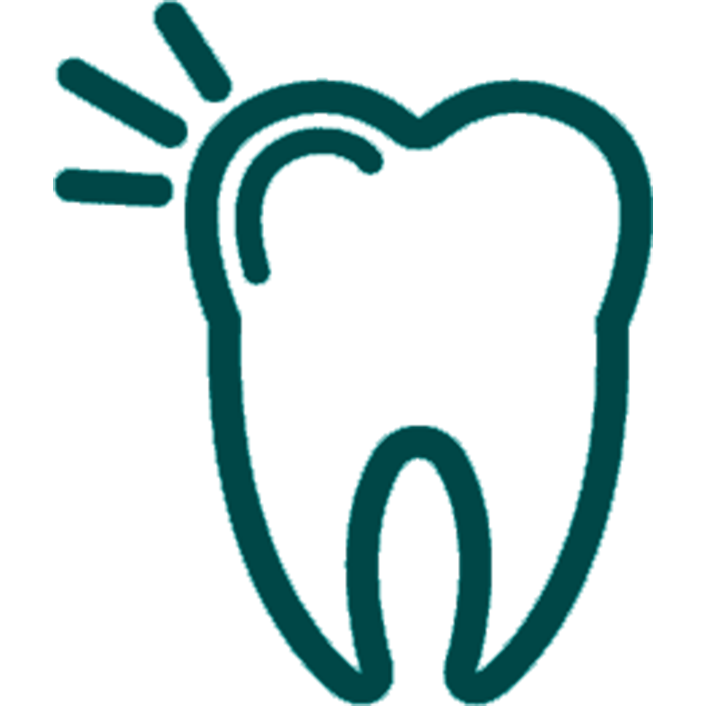 Dickson Street Dental | Our Services