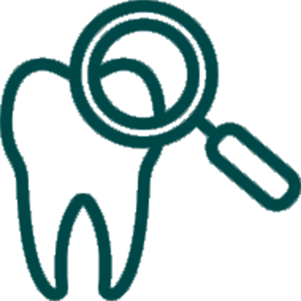 Dickson Street Dental | Our Services